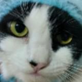 (Category: ) located in . Submitted by buy2ndhand_ (Listing ID 1378349421, Image 1). Description: .