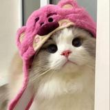 (Category: ) located in . Submitted by yuzuq (Listing ID 1379918877, Image 1). Description: .