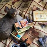 (Kategori: ) berada di . Dikirim oleh fluertey (ID iklan 1386825204, Gambar 1). Deskripsi: .