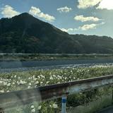 （分類：）位於 。 由 iilililil 提交（商品編號 1369134241，圖片 1）。簡介： 。