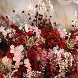 (Kategori: ) berada di . Dikirim oleh loved.byfin (ID iklan 1349998681, Gambar 1). Deskripsi: .