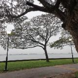 (Category: ) located in . Submitted by cs_cs_ (Listing ID 1375696072, Image 1). Description: .