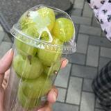 由 hhh_0 (刊登 ID 1384961862，圖片 1) 提交，位於 的 (類別：)，說明：。