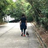(分類:)位於 。 由 ron323 提交(商品編號 1417038015,圖片 1)。簡介: 。