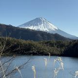 (Category: ) located in . Submitted by dayanabubblegum (Listing ID 1385907305, Image 1). Description: .