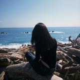 由 fat.ostrich (刊登 ID 1362165771，圖片 1) 提交，位於 的 (類別：)，說明：。