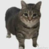(Category: ) located in . Submitted by jsjsjjsjsjsjjsjsjs (Listing ID 1380296580, Image 1). Description: .