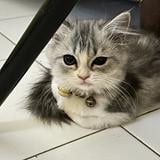 (Kategori: ) berada di . Dikirim oleh jualannya.io (ID iklan 1383464380, Gambar 1). Deskripsi: .