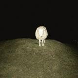 （分類：）位於 。 由 musick666 提交（商品編號 1349371442，圖片 1）。簡介： 。