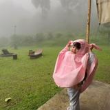 (Kategori: ) berada di . Dikirim oleh prelovedmanda28 (ID iklan 1357424079, Gambar 1). Deskripsi: .