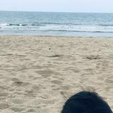 (Category: ) located in . Submitted by rosezazaa (Listing ID 1381667773, Image 1). Description: .