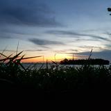 (Category: ) located in . Submitted by naya.l (Listing ID 1367178707, Image 1). Description: .