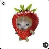 (Category: ) located in . Submitted by cinnabunnies (Listing ID 1385623510, Image 1). Description: .