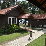 (Category: ) located in . Submitted by faraaa__moyy (Listing ID 1382050557, Image 1). Description: .