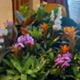 (Category: ) located in . Submitted by jansbenonlineshop (Listing ID 1385389412, Image 1). Description: .