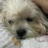 (Category: ) located in . Submitted by kayekimnew (Listing ID 1356970602, Image 1). Description: .