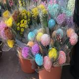 （分類：）位於 。 由 nekohoshop1 提交（商品編號 1367052529，圖片 1）。簡介： 。