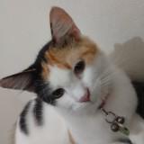 (Kategori: ) berada di . Dikirim oleh rizqrm26 (ID iklan 1351117606, Gambar 1). Deskripsi: .