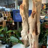 (Category: ) located in . Submitted by singaporewoodsupplier (Listing ID 1381215341, Image 1). Description: .