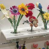 (Kategori: ) berada di . Dikirim oleh yourfutureflorist (ID iklan 1351100845, Gambar 1). Deskripsi: .