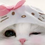由 7uiowke (刊登 ID 1382658921，圖片 1) 提交，位於 的 (類別：)，說明：。