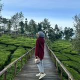 (Kategori: ) berada di . Dikirim oleh dinddduy (ID iklan 1385077241, Gambar 1). Deskripsi: .
