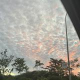 (Category: ) located in . Submitted by jinruixi-27720 (Listing ID 1378669978, Image 1). Description: .