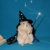 (Category: ) located in . Submitted by plushbaddie (Listing ID 1382876403, Image 1). Description: .