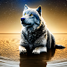 (Category: ) located in . Submitted by mustix (Listing ID 1447714275, Image 1). Description: .