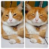 (Kategori: ) berada di . Dikirim oleh CahayaKehidupan (ID iklan 1156144401, Gambar 1). Deskripsi: .
