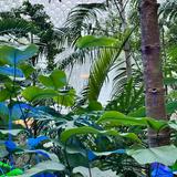 (Category: ) located in . Submitted by aluraa (Listing ID 1332467468, Image 1). Description: .