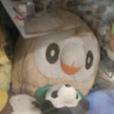 (Category: ) located in . Submitted by chippychippss (Listing ID 1352075887, Image 1). Description: .