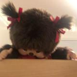 (Category: ) located in . Submitted by fjollalala (Listing ID 1378887265, Image 1). Description: .