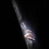 (Category: ) located in . Submitted by itsfish13 (Listing ID 1322961551, Image 1). Description: .