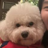 (Category: ) located in . Submitted by kandengpasabuy (Listing ID 1361694850, Image 1). Description: .