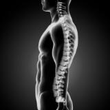 (Category: ) located in . Submitted by anatomy_base (Listing ID 1037518287, Image 1). Description: .