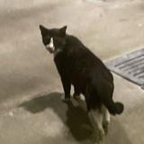 (Category: ) located in . Submitted by ahmoiitann (Listing ID 1366768586, Image 1). Description: .