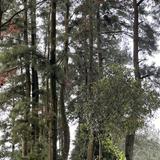 (Kategori: ) berada di . Dikirim oleh alifiavoc41475 (ID iklan 1377464035, Gambar 1). Deskripsi: .