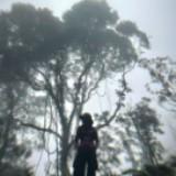 (Kategori: ) berada di . Dikirim oleh azdydyazne64886 (ID iklan 1348752851, Gambar 1). Deskripsi: .