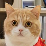 (分類:)位於 。 由 chinguuu0521 提交(商品編號 1455585156,圖片 1)。簡介: 。