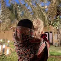 (Category: ) located in . Submitted by shasha_9 (Listing ID 1460441388, Image 1). Description: .