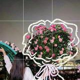 (Kategori: ) berada di . Dikirim oleh prelovedbykalica (ID iklan 1380905576, Gambar 1). Deskripsi: .