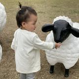 由 piepieting0210 (刊登 ID 1386285453，圖片 1) 提交，位於 的 (類別：)，說明：。