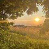（分類：）位於 。 由 thesunshineisalwayswithyou 提交（商品編號 1377202376，圖片 1）。簡介： 。