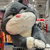 (Kategori: ) berada di . Dikirim oleh cuttheclutt (ID iklan 1368050407, Gambar 1). Deskripsi: .