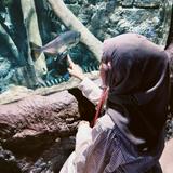 (Kategori: ) berada di . Dikirim oleh lovedbyrawrh (ID iklan 1354702553, Gambar 1). Deskripsi: .