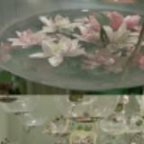 （分類：）位於 。 由 some.oldnews 提交（商品編號 1335251375，圖片 1）。簡介： 。