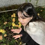 由 nana0207-97137 (刊登 ID 1352688235，圖片 1) 提交，位於 的 (類別：)，說明：。