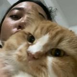 (Kategori: ) berada di . Dikirim oleh aliciamerizka (ID iklan 1339680975, Gambar 1). Deskripsi: .