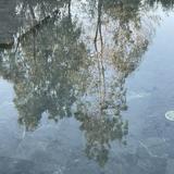 （分類：）位於 。 由 vieuxtiroir 提交（商品編號 1373448078，圖片 1）。簡介： 。